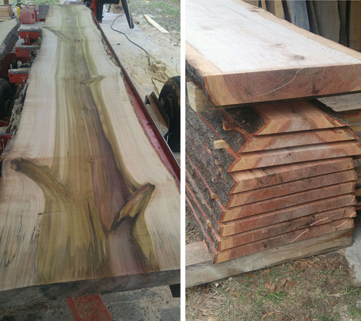 Live Edge Sawmill Florida