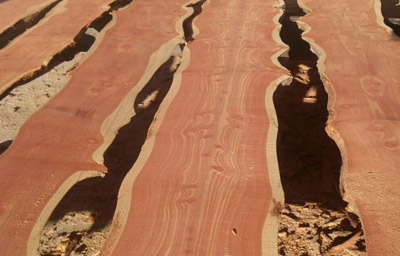 sawmill live edge slab